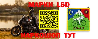прущие грибы Гусев