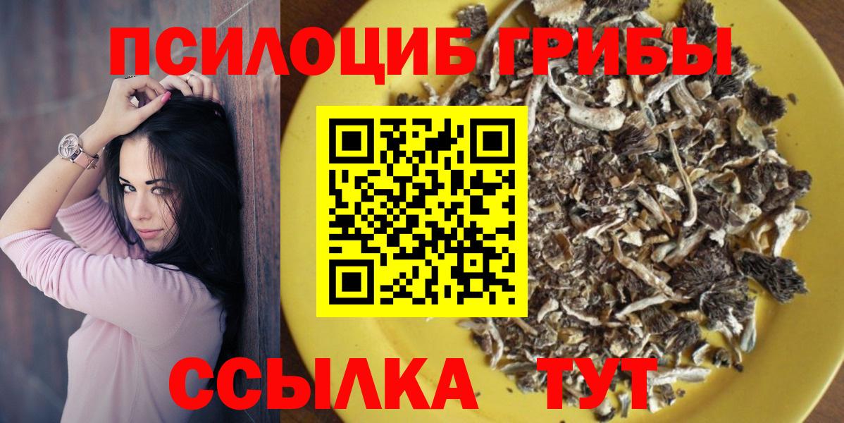 Людиново  Галлюциногенные грибы Psilocybine cubensis  Вход с VPN 